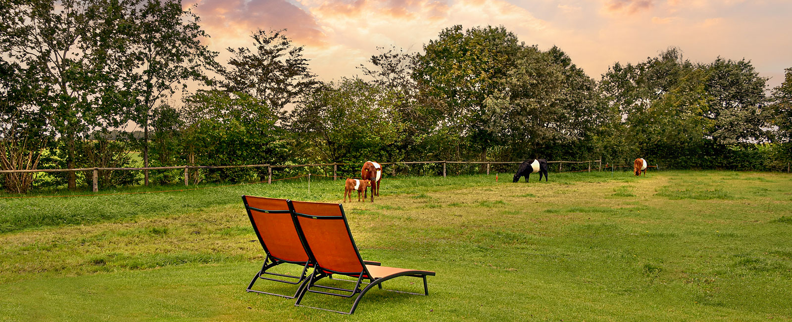 Welkom bij het Bruine Veld een oase van rust
