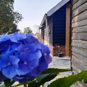 Kom het Bruine Veld zelf ervaren